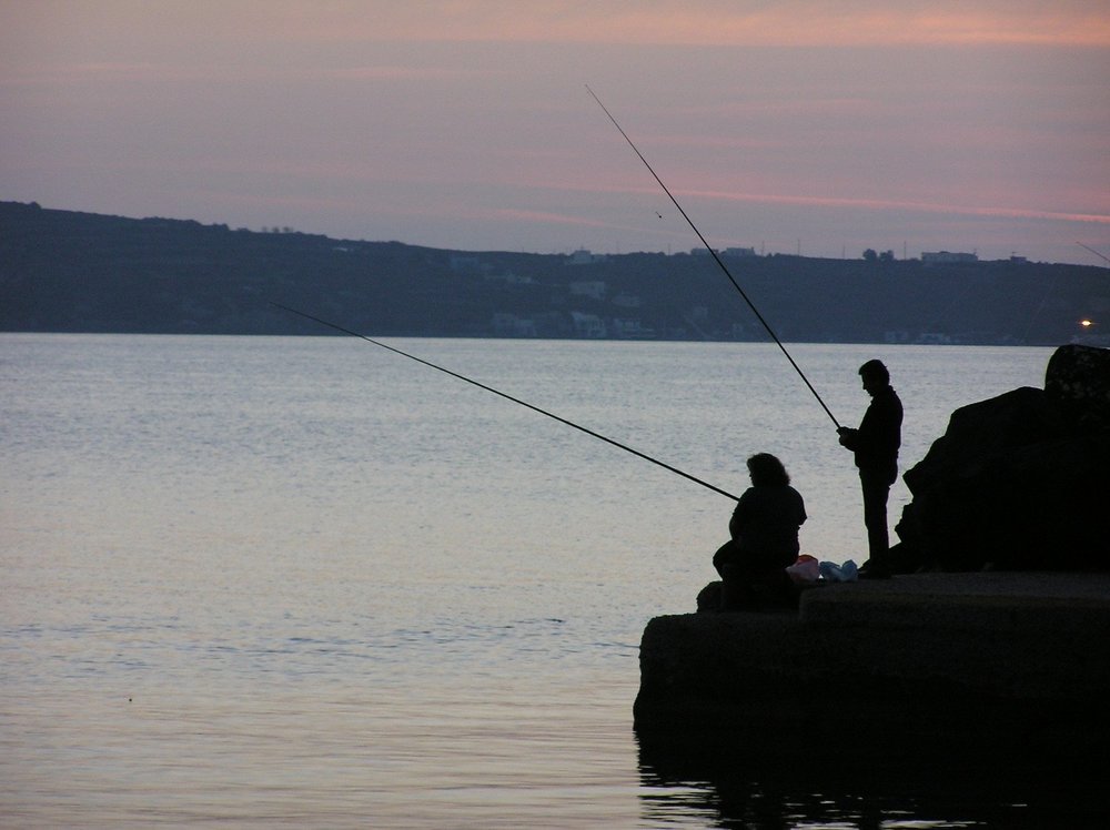 Suomen yleisimmät kalalajit 
